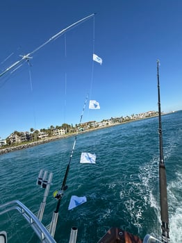 Boat photo for Tournament / All In