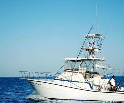 Boat photo for 5-9 Hours Offshore Trip - 38' Topaz