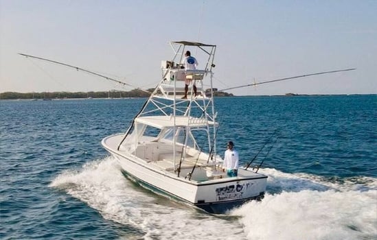 Boat photo for 5-9 Hours Offshore Trip - 27’ Dusky
