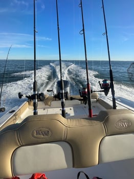 Boat photo for 5HR Trip AM Inshore Bass
