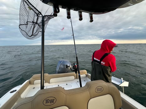 Boat photo for 5HR Trip AM Inshore Bass