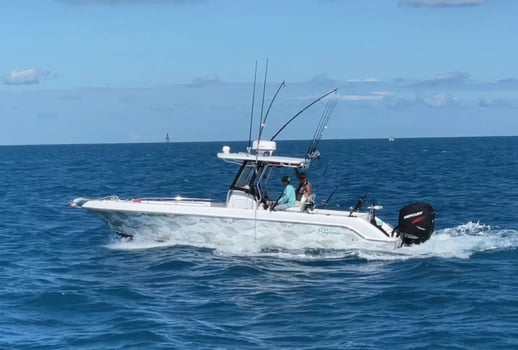 Boat photo for 4 Hour Trip – Reef & Wreck 