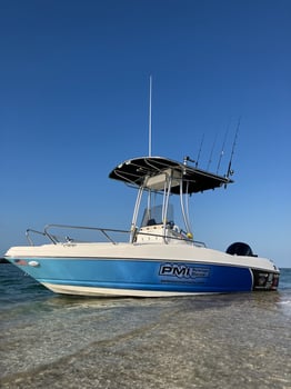 Boat photo for 5-8 Hour Reef/Offshore Fishing