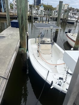 Boat photo for Custom Tours And Cruises!!
