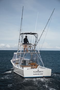 Boat photo for 31-Foot Gamefish Power Run