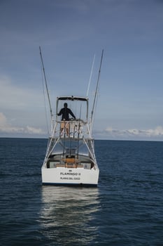 Boat photo for 31-Foot Gamefish Power Run