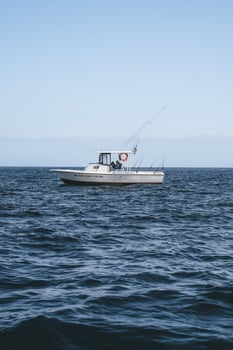 Boat photo for 27’ Budget-Friendly Fishing
