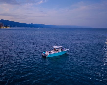 Boat photo for 31 Ft Grady White Half Day 