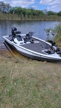 Boat photo for Miami Peacock (4-8HR)