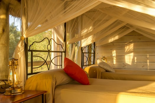 Lodge photo for Serengeti Birding Experience