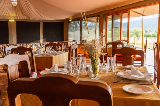 Lodge photo for Serengeti Birding Experience