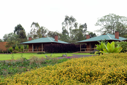 Lodge photo for Serengeti Birding Experience