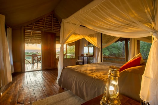 Lodge photo for Serengeti Birding Experience