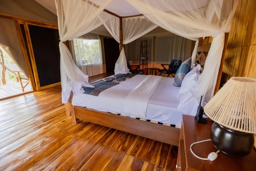 Lodge photo for Serengeti Birding Experience