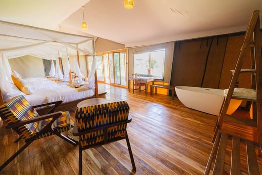 Lodge photo for Serengeti Birding Experience