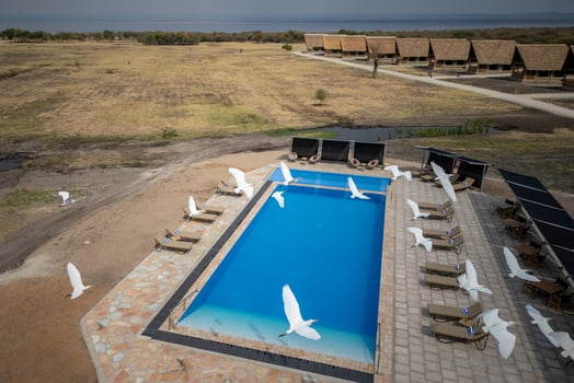 Lodge photo for Serengeti Birding Experience