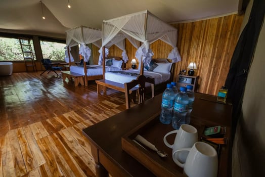 Lodge photo for Serengeti Birding Experience