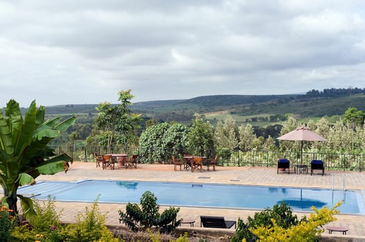 Lodge photo for Serengeti Birding Experience