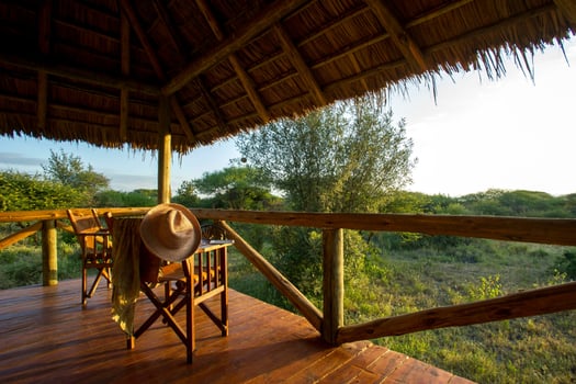 Lodge photo for Serengeti Birding Experience