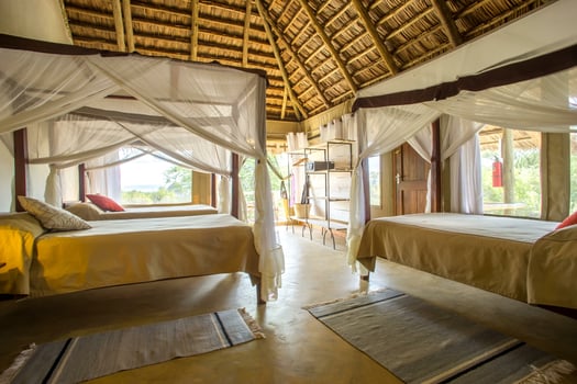Lodge photo for Serengeti Birding Experience