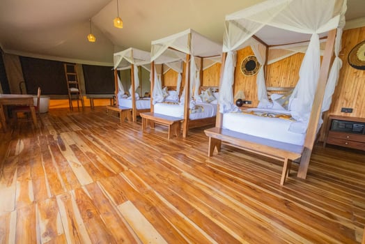 Lodge photo for Serengeti Birding Experience