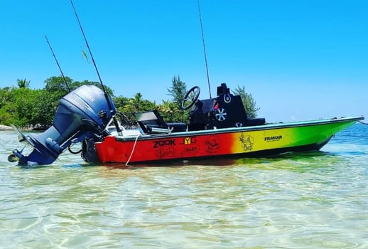 Boat photo for Inshore Reef & Flats Fishing