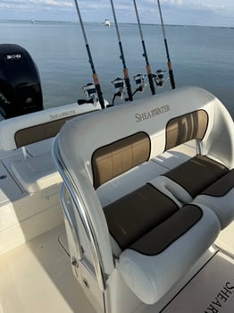 Boat photo for Clearwater Inshore/Nearshore