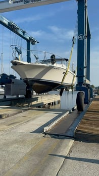 Boat photo for Lake Michigan Salmon/Trout Fishing