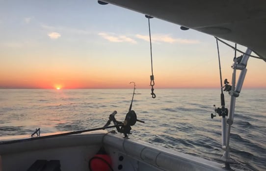 Boat photo for Perch, Trout And Walleye Fishing