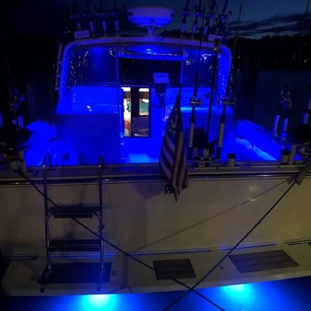 Boat photo for Premier Charter Fishing
