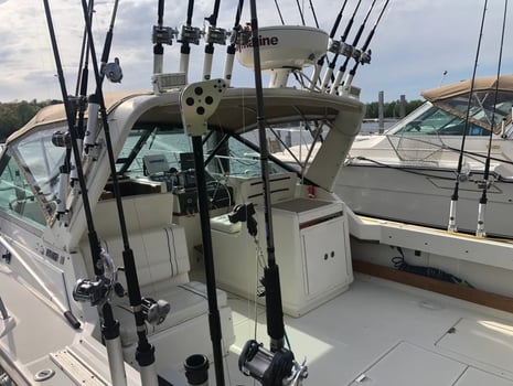 Boat photo for Premier Charter Fishing