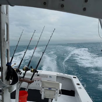 Boat photo for Private Offshore Fishing