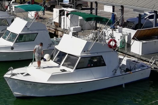 Boat photo for 3 Hour Trip – Inshore