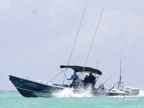 Boat photo for Inshore Fishing Trip