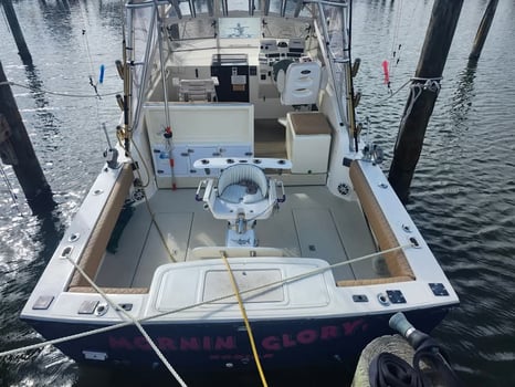 Boat photo for Alaska Sportfishing 