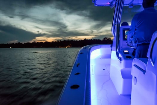 Boat photo for 75min Dolphin Backcountry Adventure