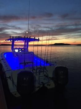 Boat photo for 75min Dolphin Backcountry Adventure