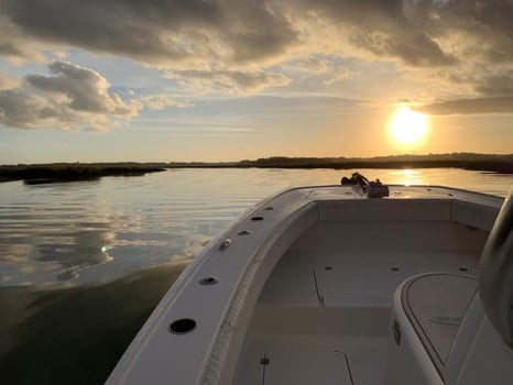 Boat photo for 75min Dolphin Backcountry Adventure