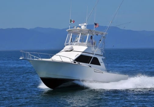 Boat photo for 4-6 Hr Luxury Fishing NV 