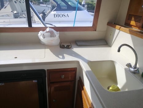 Boat photo for 4-6 Hr Luxury Fishing NV 