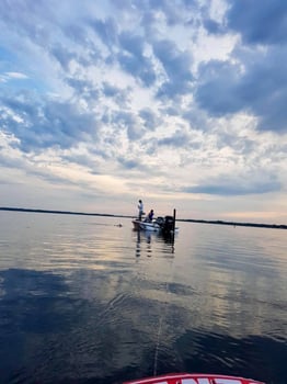 Boat photo for  Lake Simcoe Trips (Fall)
