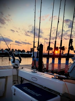 Boat photo for Lake Erie Sportfishing