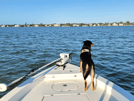 Boat photo for Captiva Fishing - Half Day
