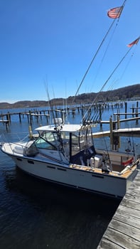 Boat photo for Frankfort Frenzy 