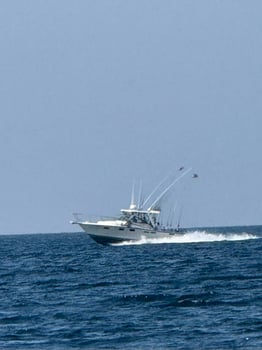 Boat photo for Frankfort Frenzy 