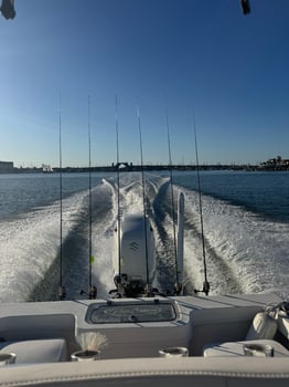 Boat photo for 4 Hour Inshore