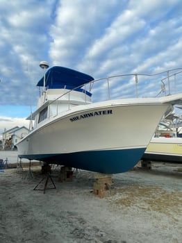 Boat photo for Red Snapper Fishing