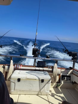 Boat photo for Full Day Trip – Troll & Perch Combo