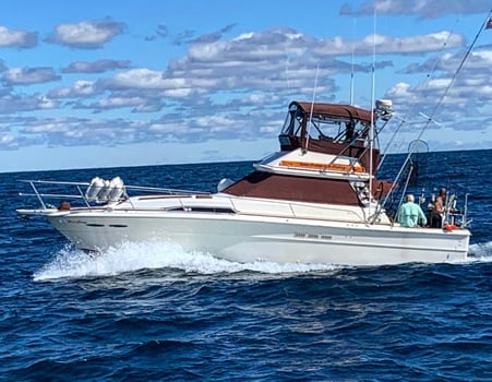 Boat photo for Lake Michigan 4 Hour Twilight