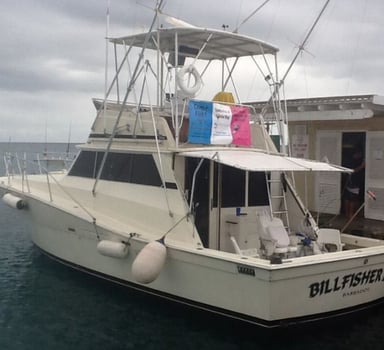 Boat photo for Offshore Sportfishing Experience 